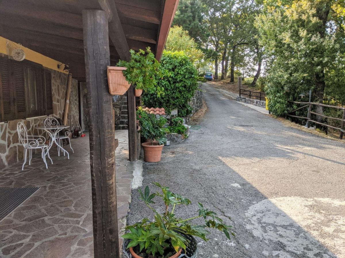 Il Rifugio Del Contadino Art & Nature Bosco  Zewnętrze zdjęcie
